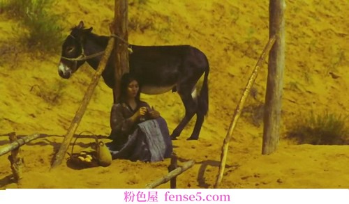穿衣搭配