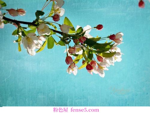 穿衣搭配